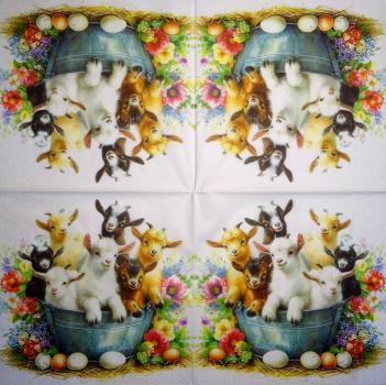 011 Sheep - 3-ply (11)